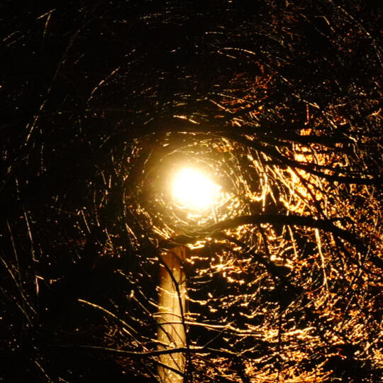 Decorative Photo taken by Elias Rowe 2026