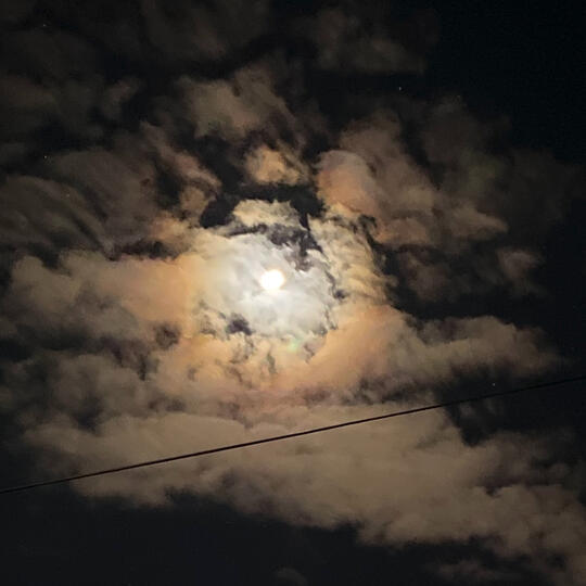 Decorative Photo taken by Elias Rowe 2026